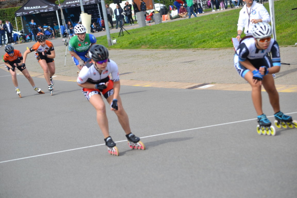 DSC_8866 (FILEminimizer)